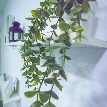 Apartment 2 Laredo